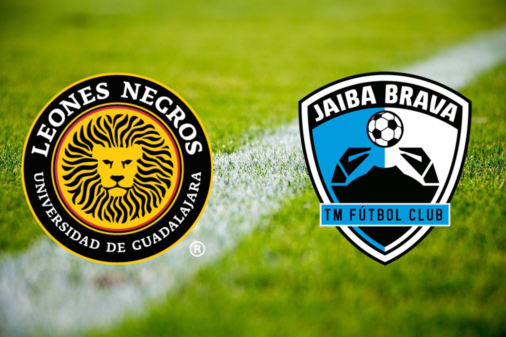 leones negros tampico madero jaiba brava logos liga de expansion 2025 final de vuelta